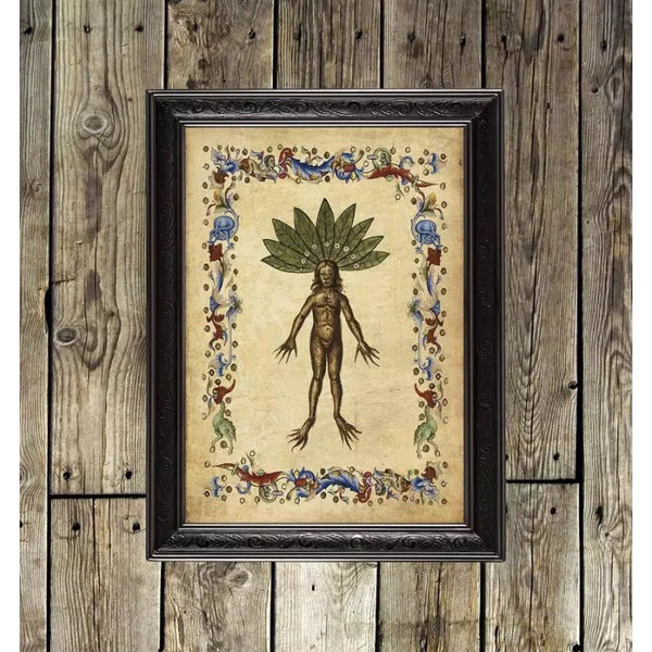 mandrake-poisonous-botanic-art-print.jpg