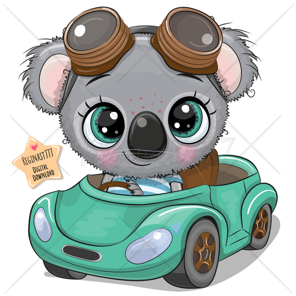 cute- koala-in-a-car.jpg