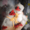 Goose and booby bird toy knitting pattern1.jpg