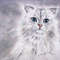 White-Cat-original-painting-framed-fine-art-kitten-wall-art-7.jpg