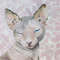 Sphinx-Cat-original-painting-framed-fine-art-kitten-fine-art-11.jpg