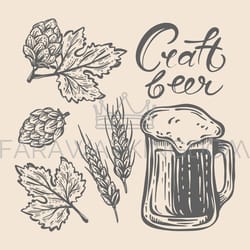 hops and beer craft drink monochrome vector illustration set