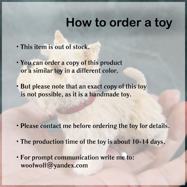 How to order.jpg