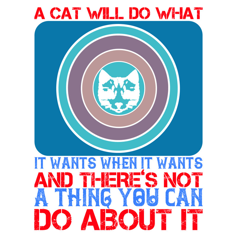 A-cat-will-do-what-8.png
