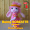 Bunny-Roseatte-eng-title.jpg