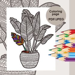 Coloring pages, Coloring page plants, Coloring pages for adults, Coloring pages for kids, Coloring sheets, Coloring pict
