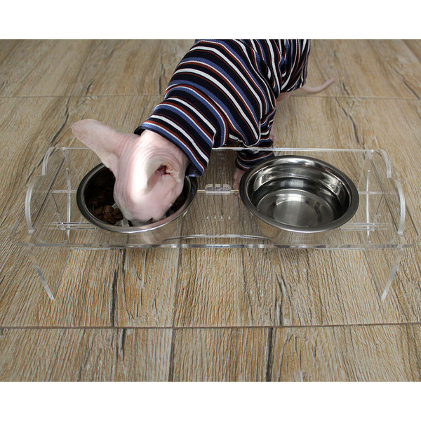Modern-clear-cat food-bowls-set .jpg