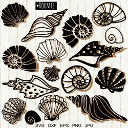 Sea Shells SVG, Ocean SVG, Seashells svg, Beach svg, Ocean clipart, Shell svg, Ocean Cut File Silhouette Cricut Papercut