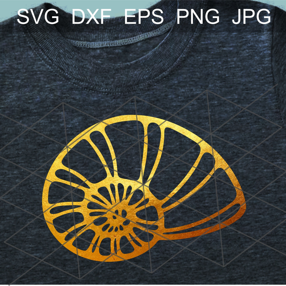 seashells shirt design.jpg