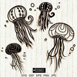 Jellyfish svg, Ocean SVG bundle, Jellyfish cut file, Ocean animals clipart, Sea svg, Beach svg, Medusa sea jelly dxf png