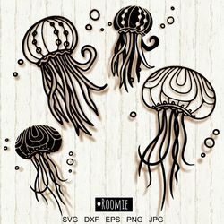 jellyfish svg, ocean svg bundle, jellyfish cut file, ocean animals clipart, sea svg, beach svg, medusa sea jelly dxf png