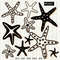 Seastars black and white clipart.jpg