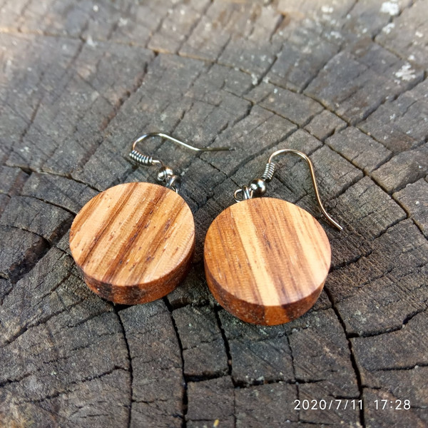 Zebra wood earrings Circle wooden earrings Brown earrings wooden.jpg