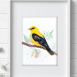 Golden oriole original birds watercolor, bird painting bird watercolor art by Anne Gorywine
