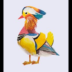 Mandarin Duck Original Watercolor Painting by Guldar