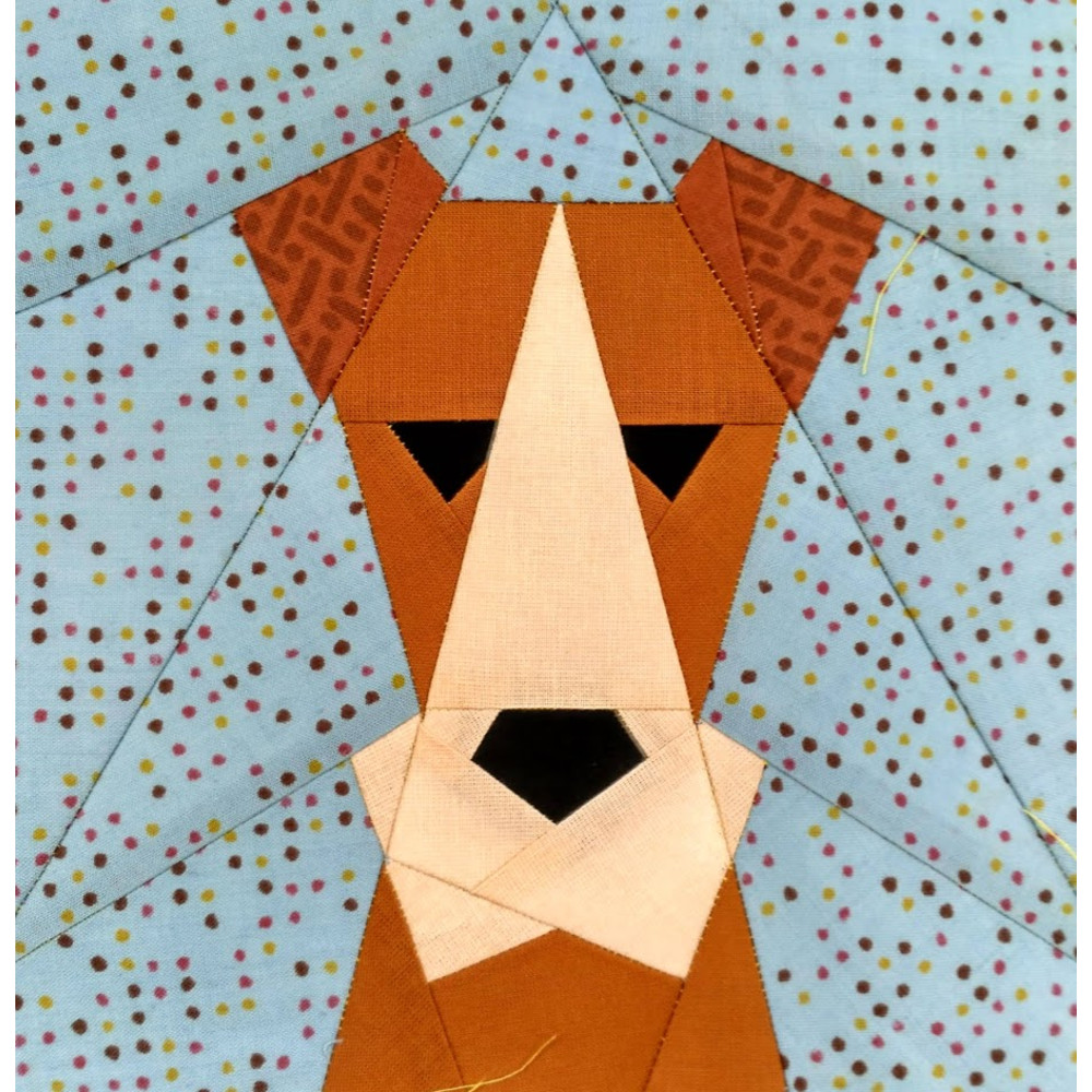 funny fox terrier.jpg