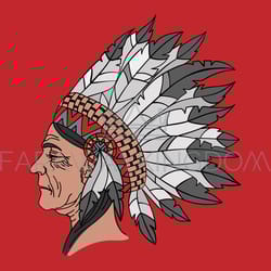 indians woman american native portrait vector illustration