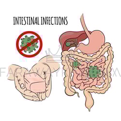 intestinal infections prevention soap health human medicine