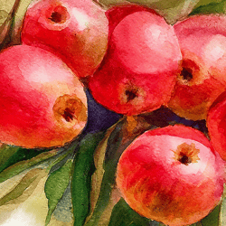 Pink apples Art Print Digital Files Download painting watercolor home decor wall decor Aquarelle Botanical Print color