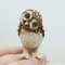 miniature-owl-baby-owl