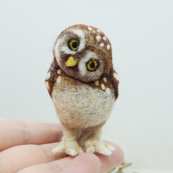 miniature-owl-baby-owl
