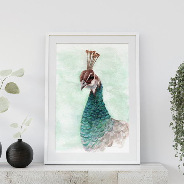 watercolor-peacock-poster.jpg