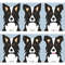 border collie pattern.jpg