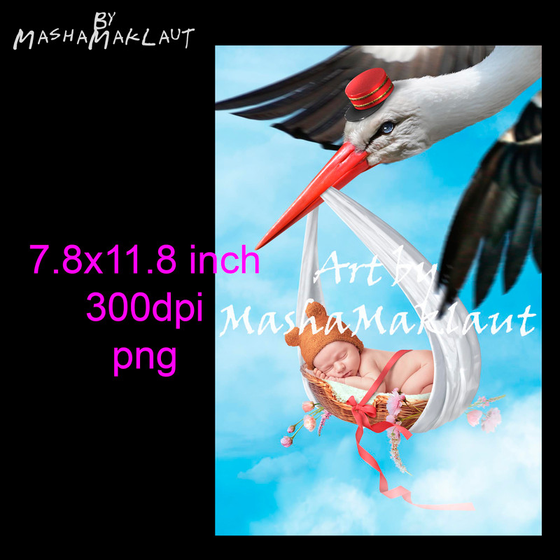 111-5.jpg