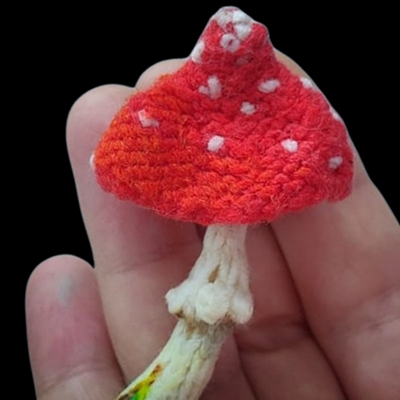 FFly agaric Knitting Pattern, toadstool, grebe, fungus, amanita, dabchick, fairy-mushroom, blewits knitting brooch guide 2.png