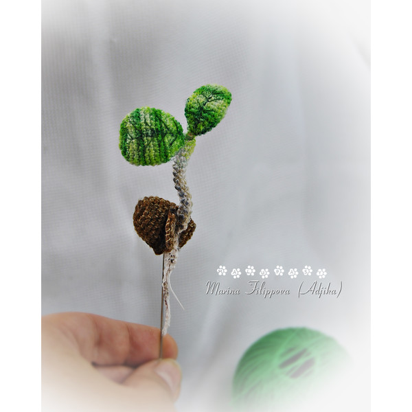 Sprouted Bean brooch crochet pattern, realistic plant tutorial, crochet flower guide, cute crochet bean, crochet jewelry 4.JPG