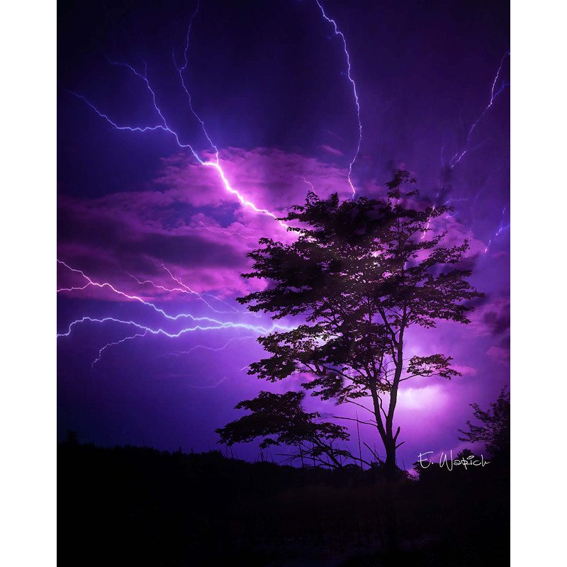 Purple LIgtning signed.jpg