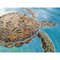 turtle-painting3.jpg