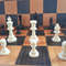 plastic_chess_pieces_small6.jpg