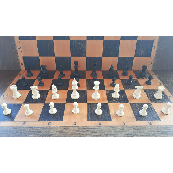 plastic_chess_pieces_small7.jpg