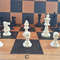 plastic_chess_pieces_small8.jpg