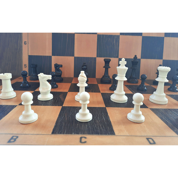 plastic_chess_pieces_small8.jpg