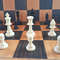 plastic_chess_pieces_small9+.jpg