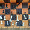 plastic_chess_pieces_small1.jpg