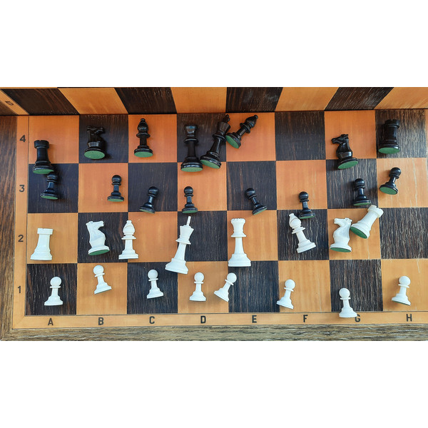 plastic_chess_pieces_small1.jpg