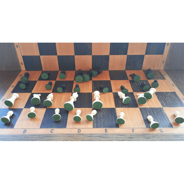 plastic_chess_pieces_small2.jpg