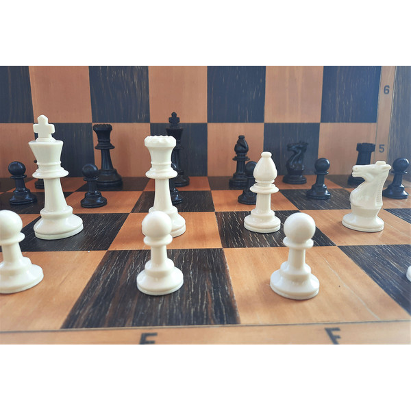 plastic_chess_pieces_small3.jpg