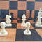plastic_chess_pieces_small5.jpg