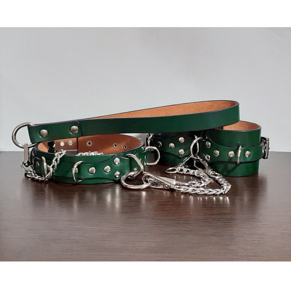 bdsm collar leash cuffs.png
