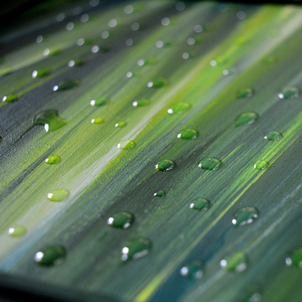original-acrylic-interior-painting-abstract-minimalism-canvas-wooden-frame-nature-series-green.-water-drops-art-gallery