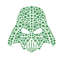 St Patrick's Day Darth Vader 1.jpg