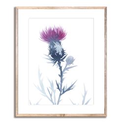 Thistle Watercolor Painting Fine Art Print Scottish Symbol Art Indigo Floral Wall Art Flower Wall Decor