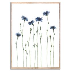 Cornflowers Painting Blue Flowers Art Print Windflowers Watercolor Botanical Floral Wall Art Farmhouse Wall Decor
