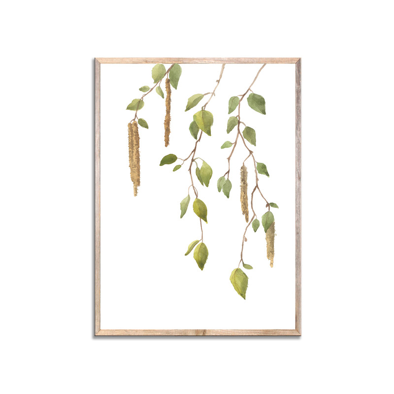 заглавная суженная.jpg