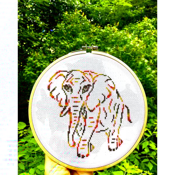 Variegated Elephant new 1.jpg