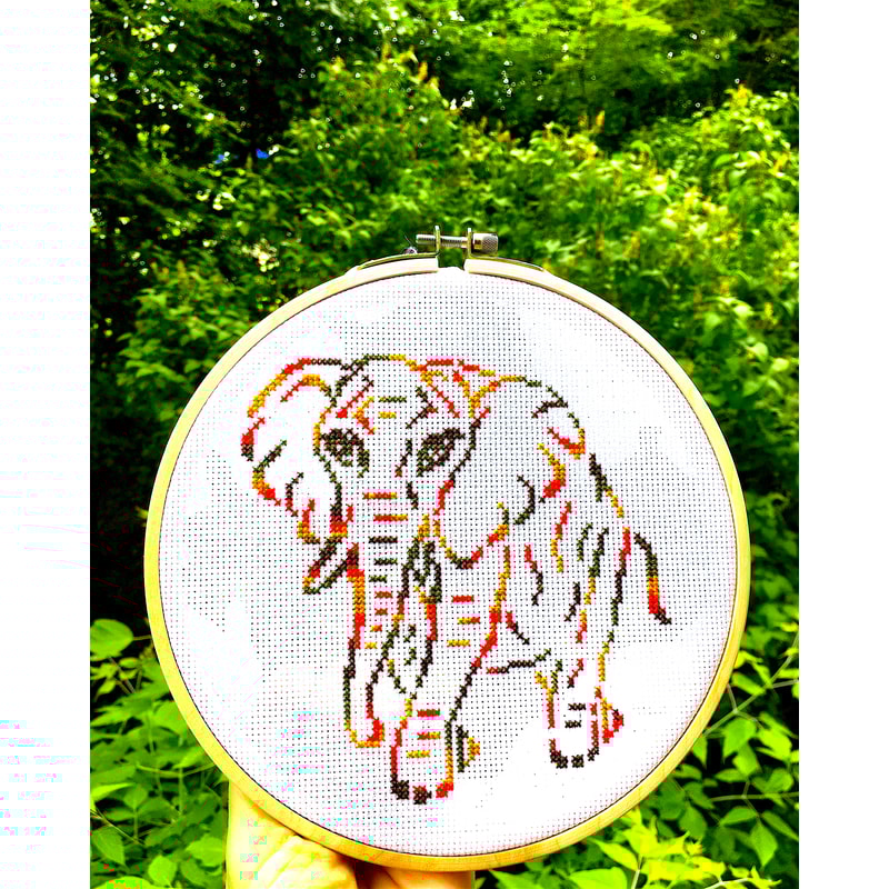 Variegated Elephant new 1.jpg